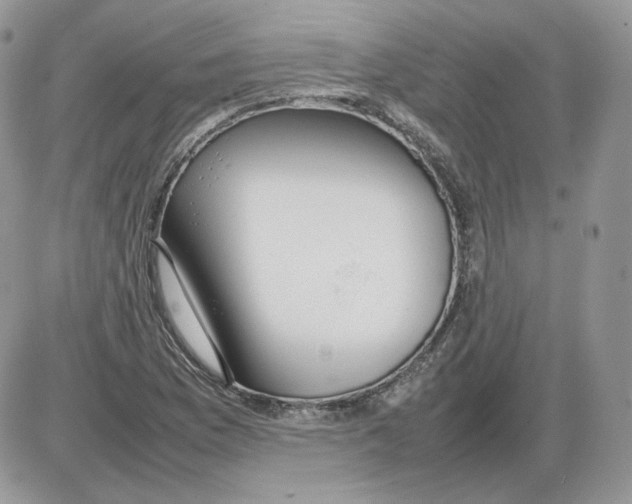 X0000086081169200704202144