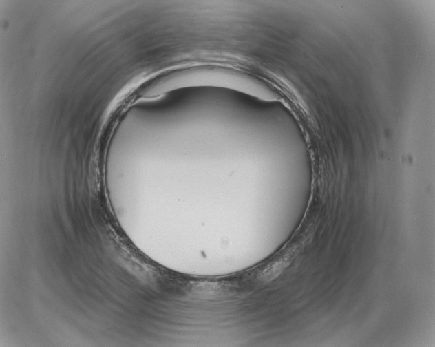 X0000086081172200704202144