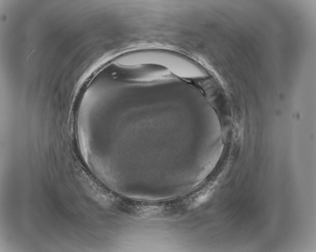 X0000086081173200704202144