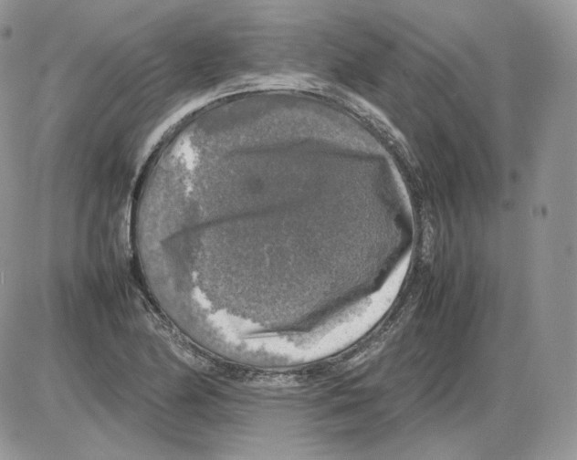 X0000086081174200704202144