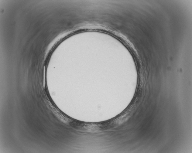 X0000086081175200704202144