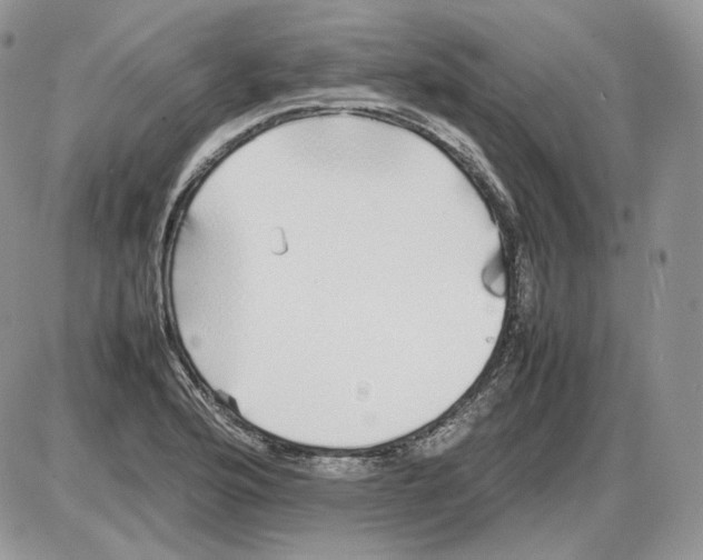 X0000086081176200704202144