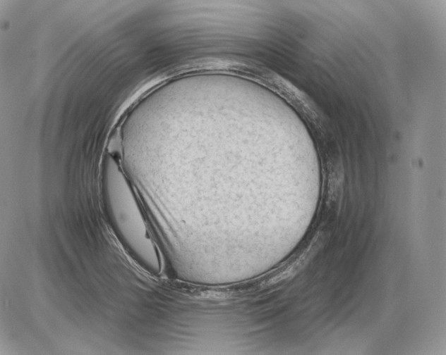 X0000086081178200704202144