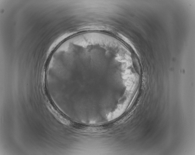 X0000086081179200704202144