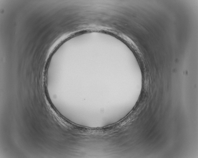 X0000086081183200704202143