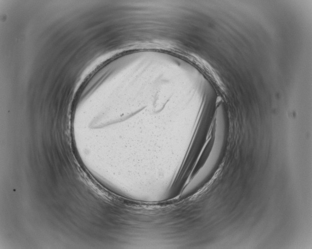 X0000086081184200704202143