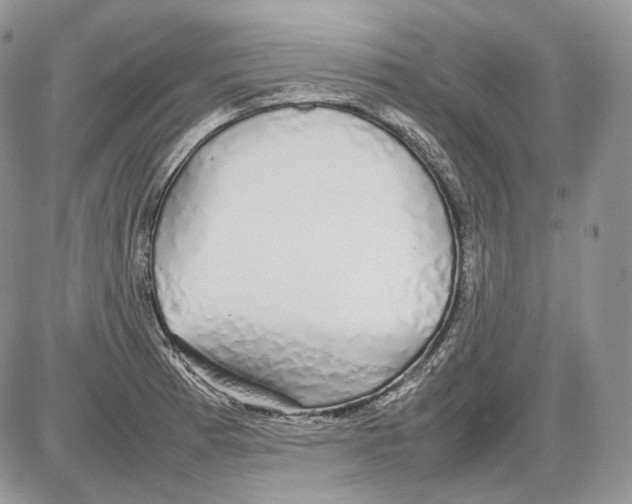 X0000086081185200704202143