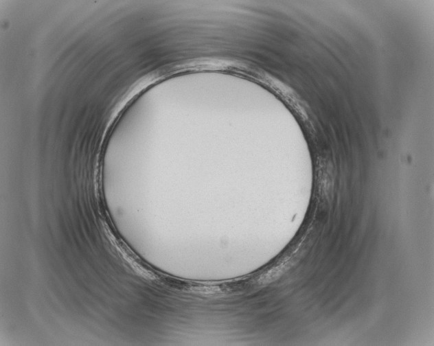 X0000086081186200704202143