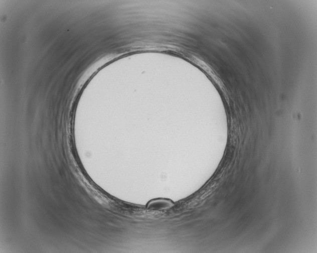 X0000086081187200704202143