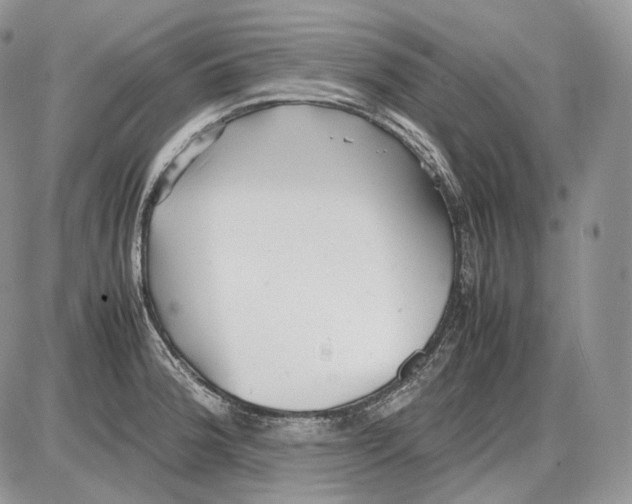 X0000086081188200704202143