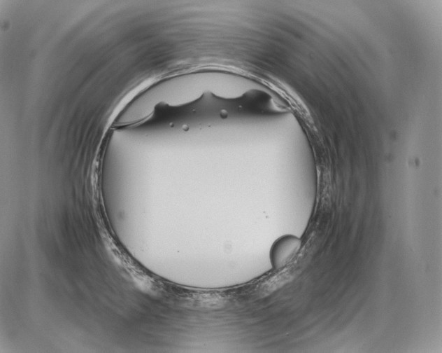 X0000086081190200704202143