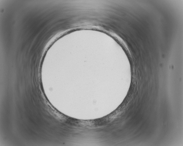 X0000086081191200704202143