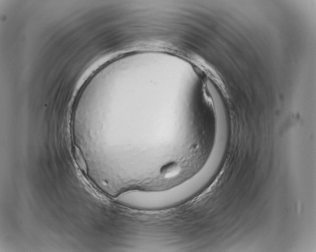 X0000086081192200704202143