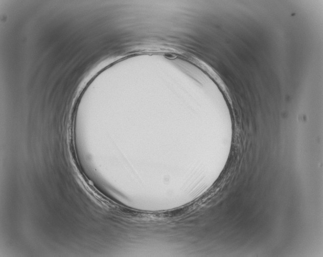 X0000086081195200704202143