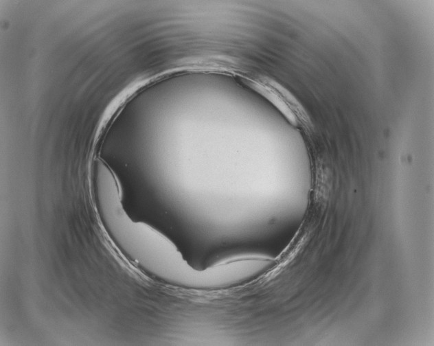 X0000086081196200704202143