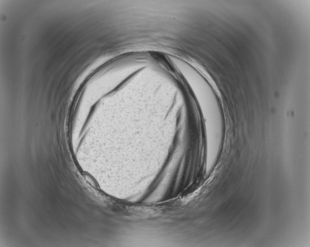 X0000086081197200704202143