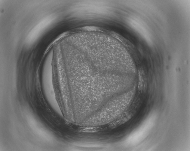 X0000086081198200704202143