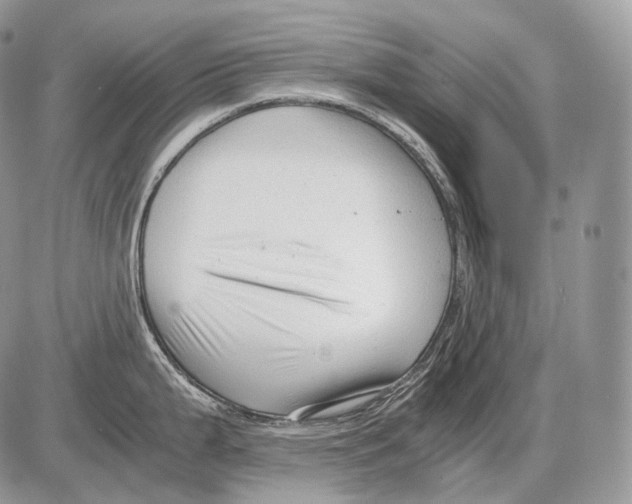 X0000086081199200704202143