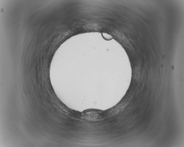 X0000086081201200704202142