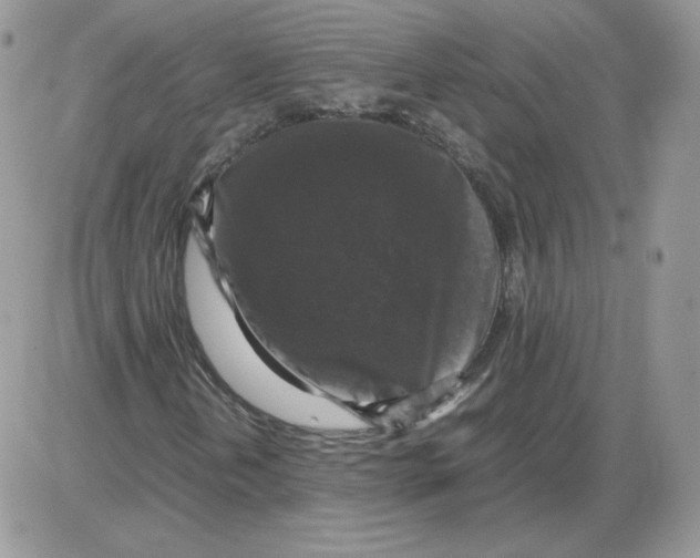 X0000086081202200704202142