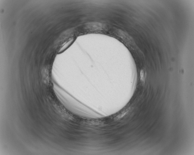 X0000086081203200704202142