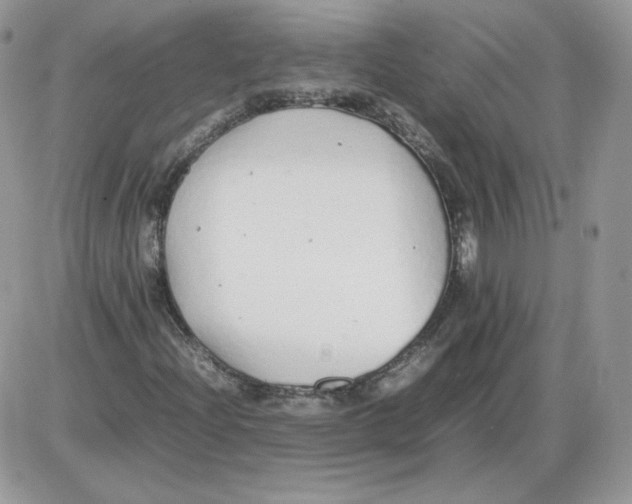 X0000086081204200704202142