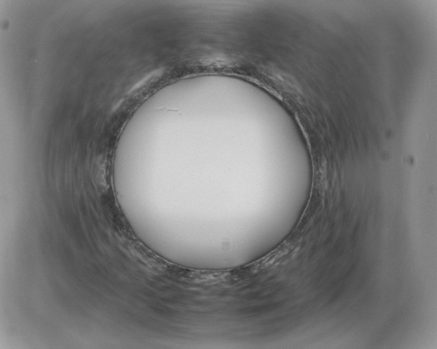 X0000086081205200704202142