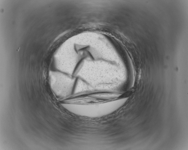 X0000086081206200704202143