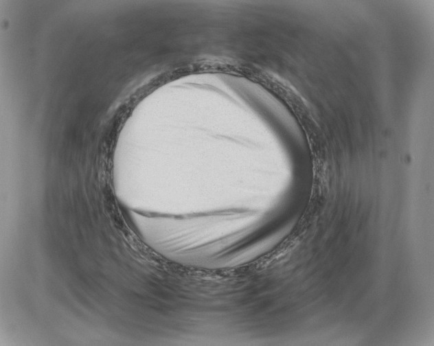 X0000086081207200704202143