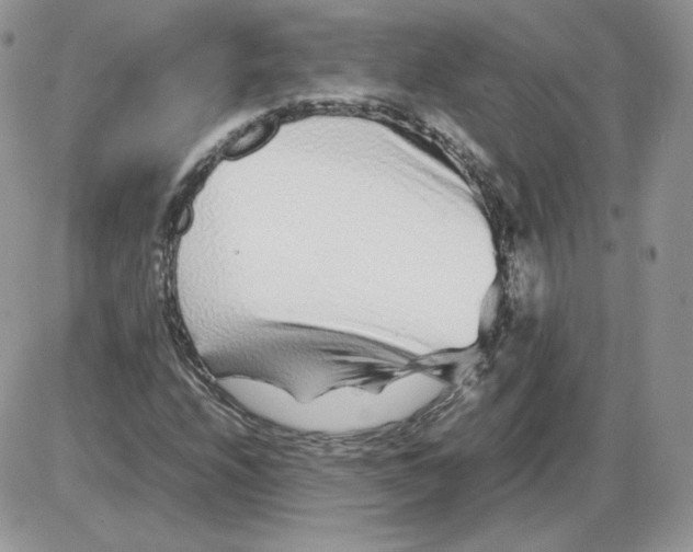 X0000086081208200704202143