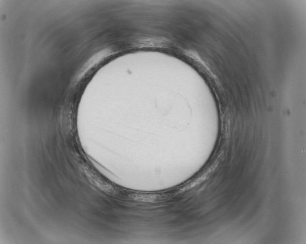 X0000086081211200704202143