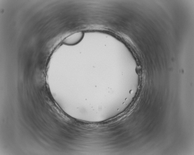 X0000086081212200704202143