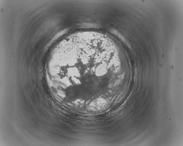 X0000086081213200704202143