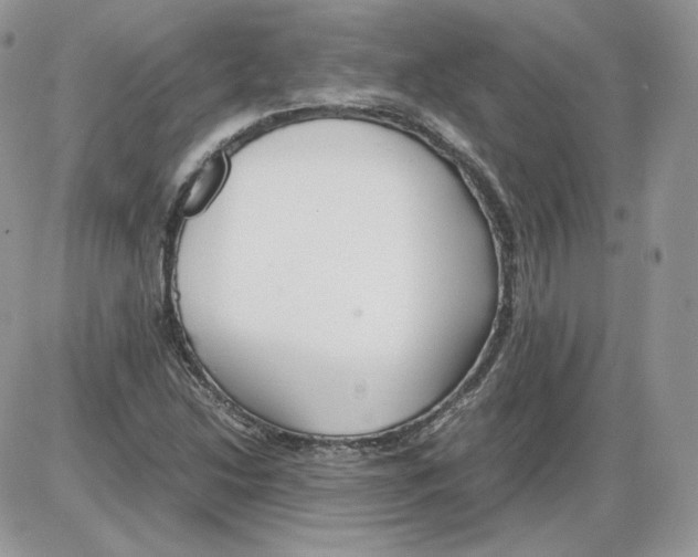 X0000086081214200704202143