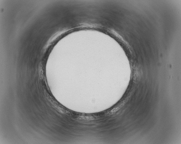 X0000086081215200704202143