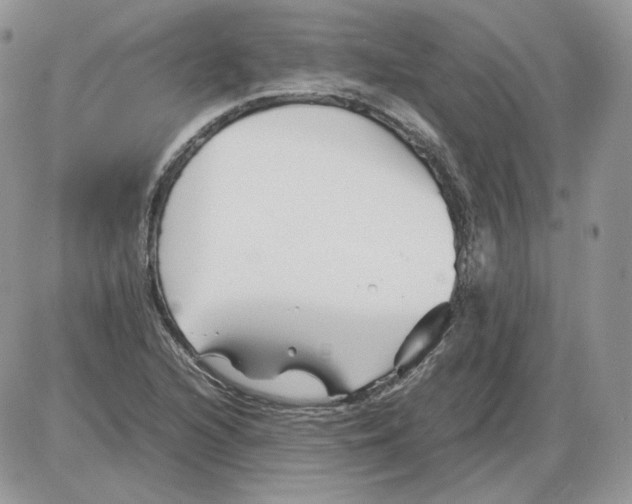 X0000086081216200704202143