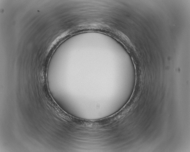 X0000086081218200704202143