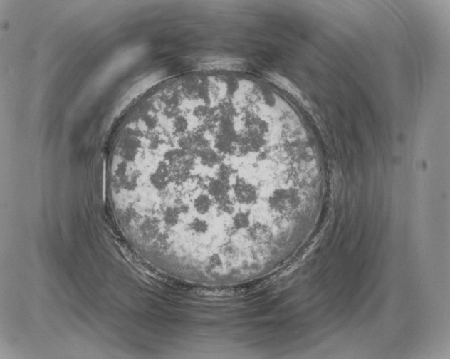 X0000086081219200704202143