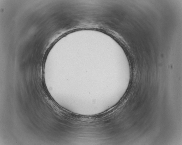 X0000086081220200704202143