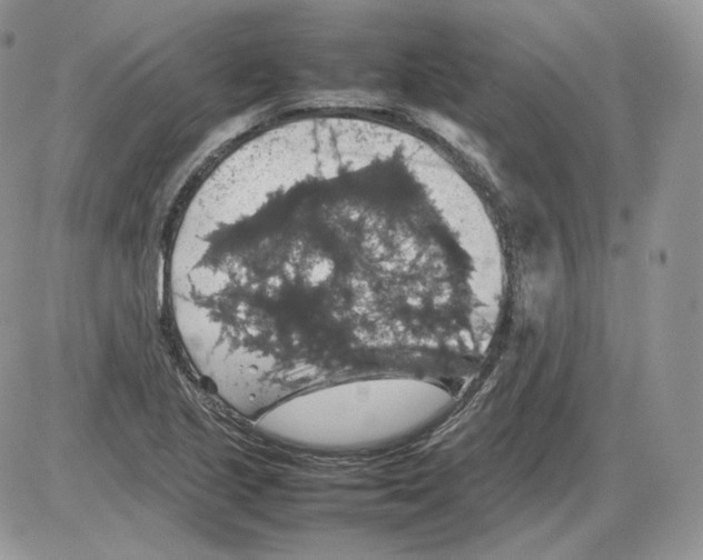 X0000086081221200704202143