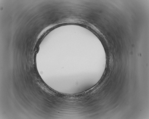 X0000086081222200704202143