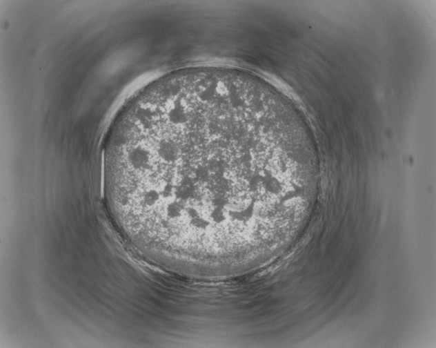 X0000086081223200704202143