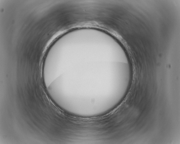 X0000086081224200704202143