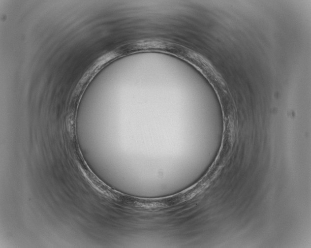 X0000086081225200704202143