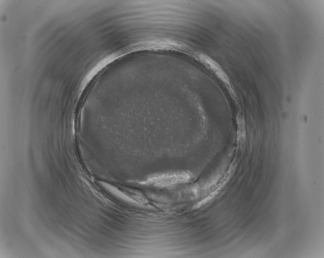 X0000086081226200704202143