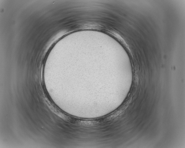 X0000086081227200704202143