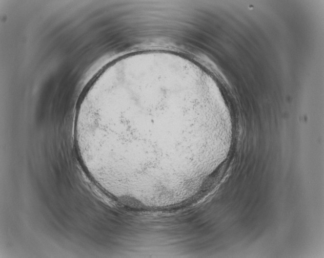 X0000086081228200704202143