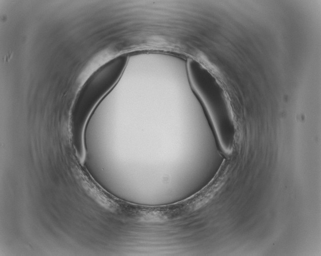 X0000086081230200704202143