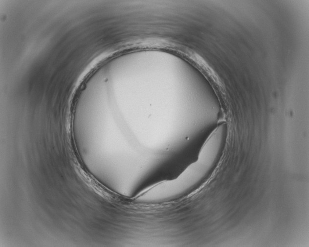 X0000086081232200704202143