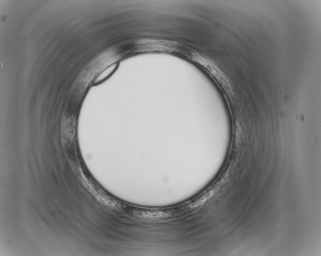 X0000086081233200704202143